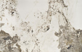 Emelia asztal (fehér), 180-260 x 90 cm